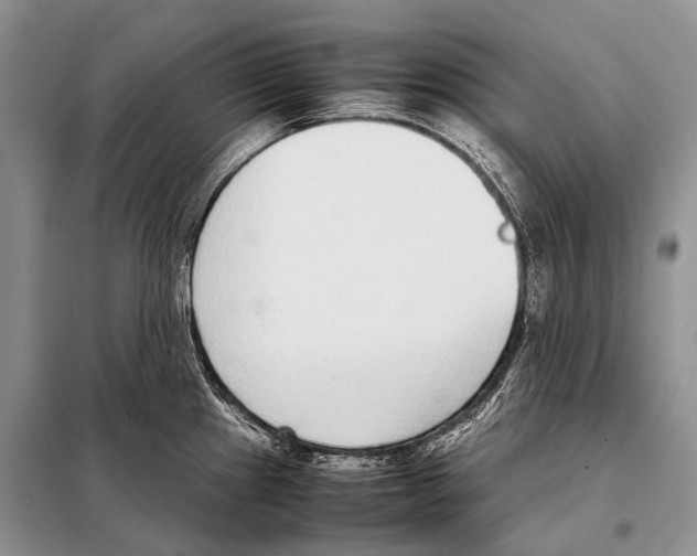 X0000098121241200805021149