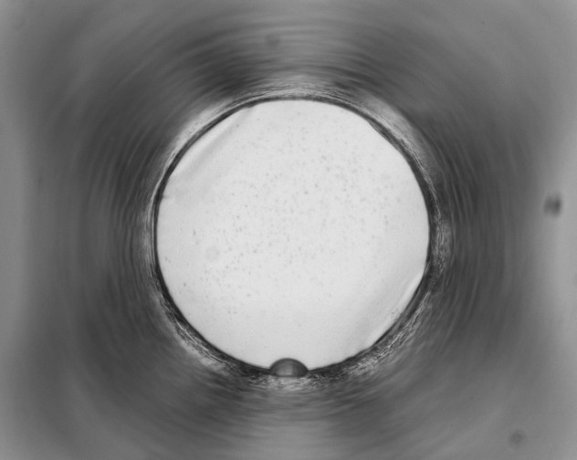 X0000098121242200805021149