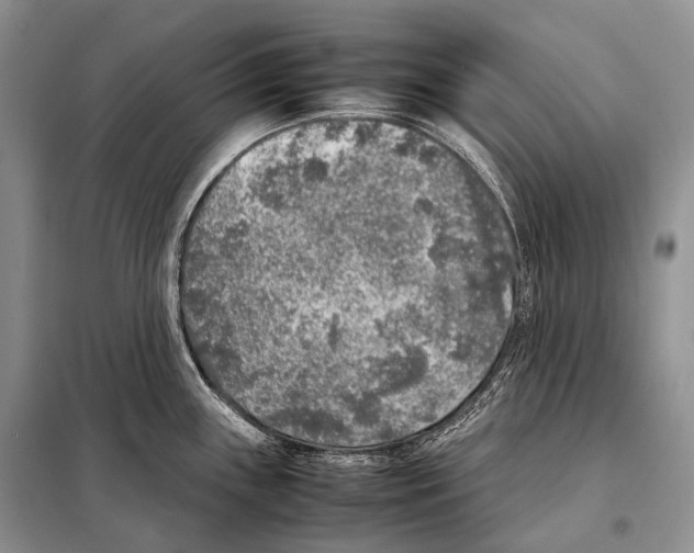 X0000098121243200805021149