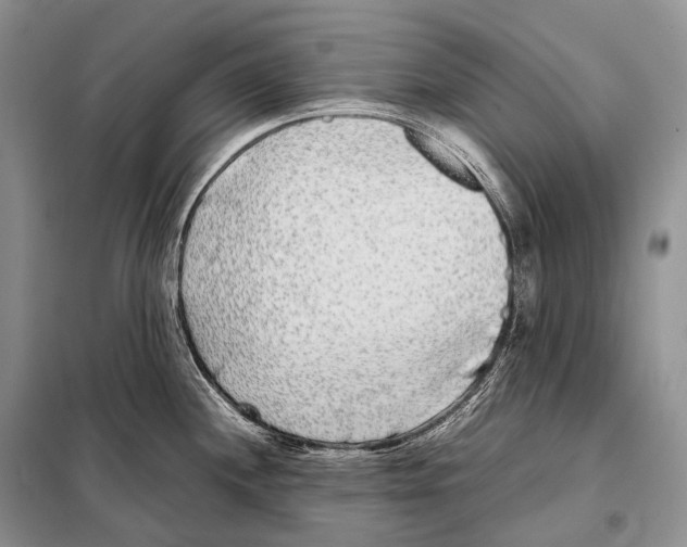 X0000098121244200805021149