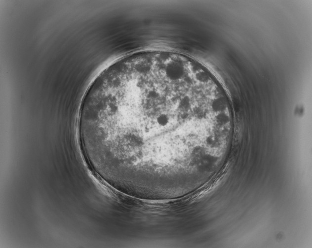 X0000098121245200805021149