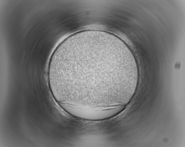 X0000098121248200805021149