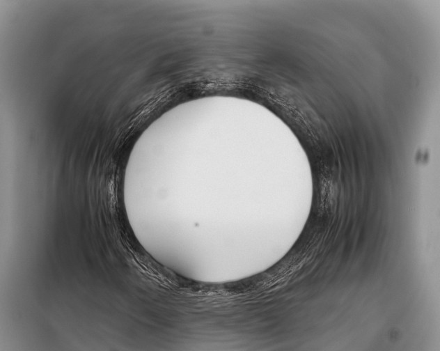 X0000098121250200805021148