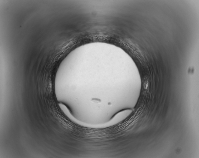 X0000098121252200805021148