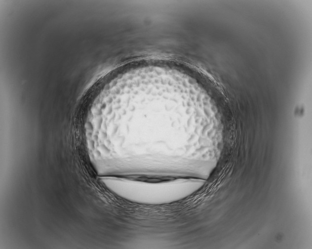 X0000098121255200805021148