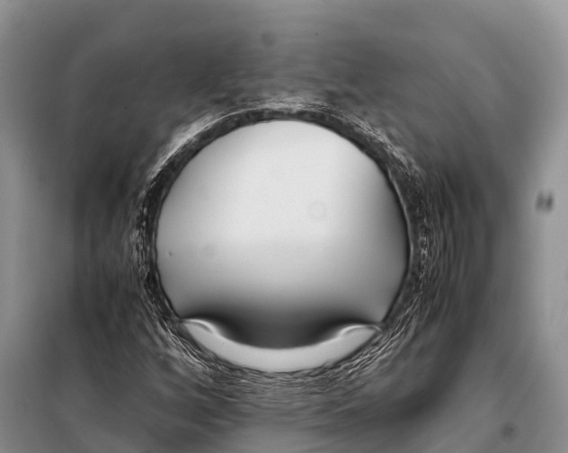 X0000098121256200805021148