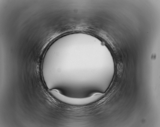 X0000098121260200805021148