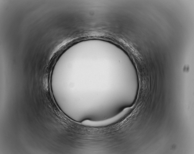 X0000098121262200805021148