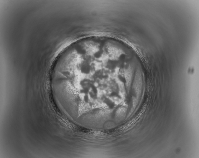 X0000098121263200805021148