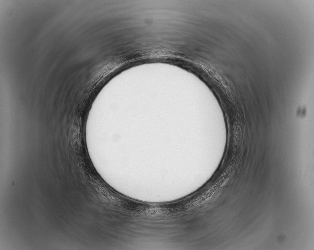 X0000098121265200805021148