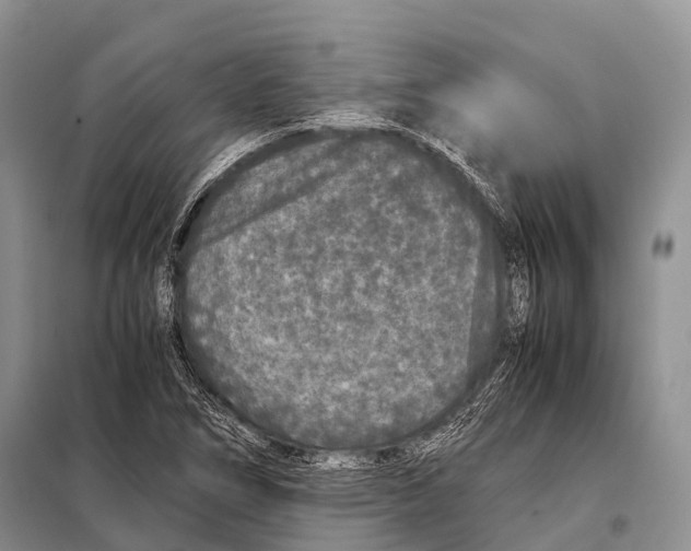 X0000098121266200805021148