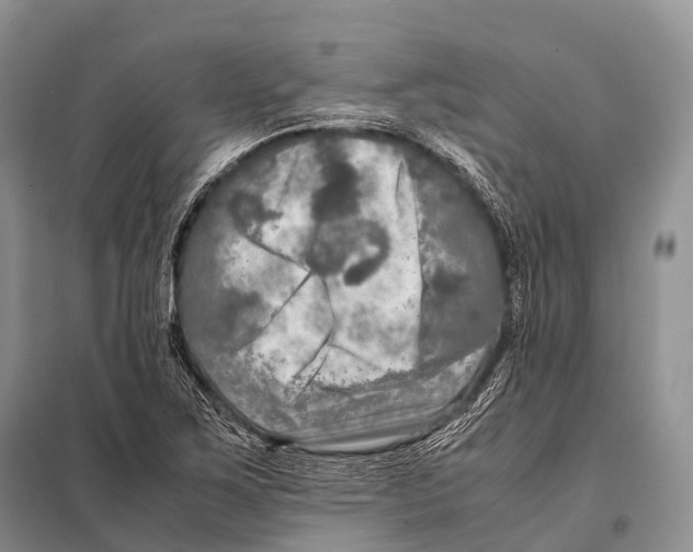 X0000098121267200805021148