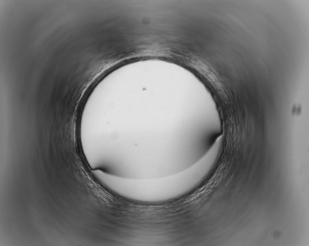 X0000098121268200805021148