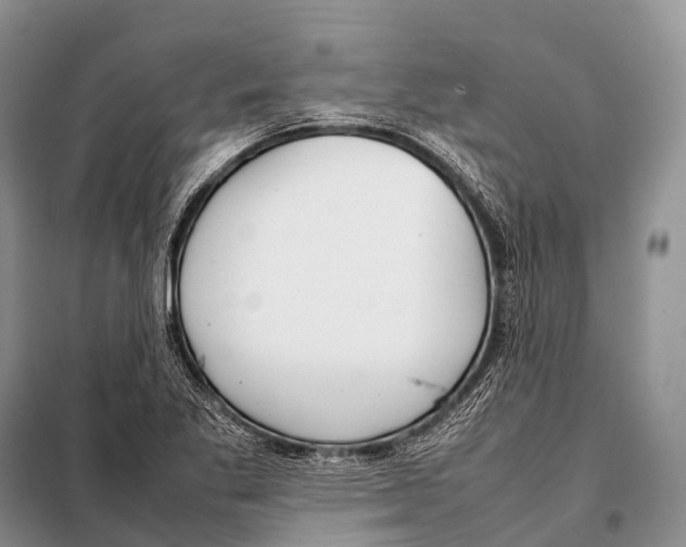 X0000098121269200805021148
