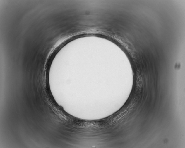 X0000098121270200805021148