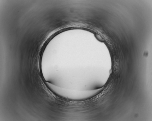 X0000098121272200805021148