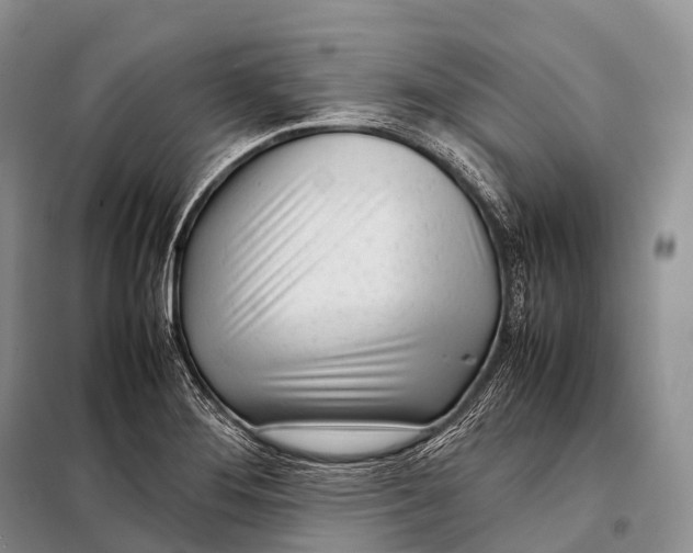 X0000098121276200805021148