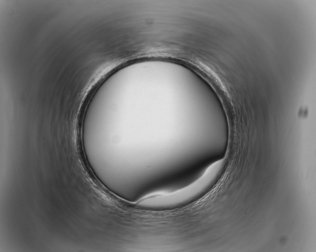 X0000098121277200805021148