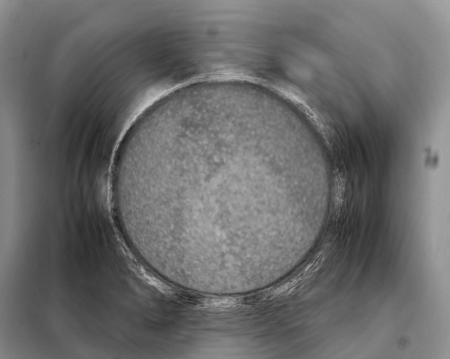 X0000098121278200805021148