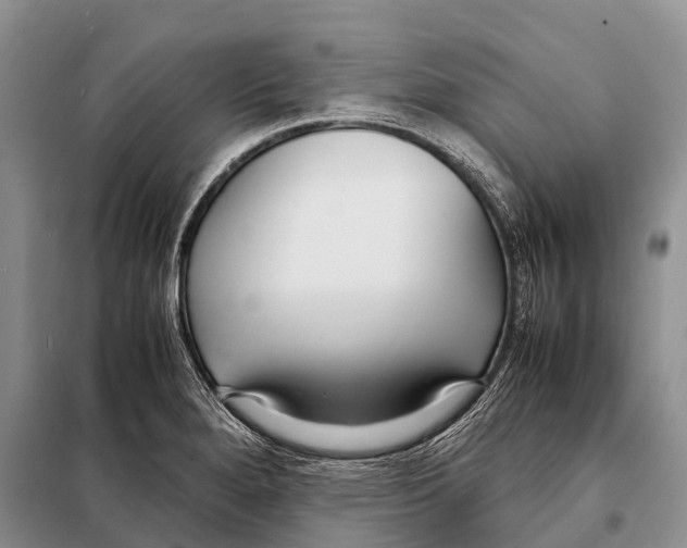 X0000098121280200805021148