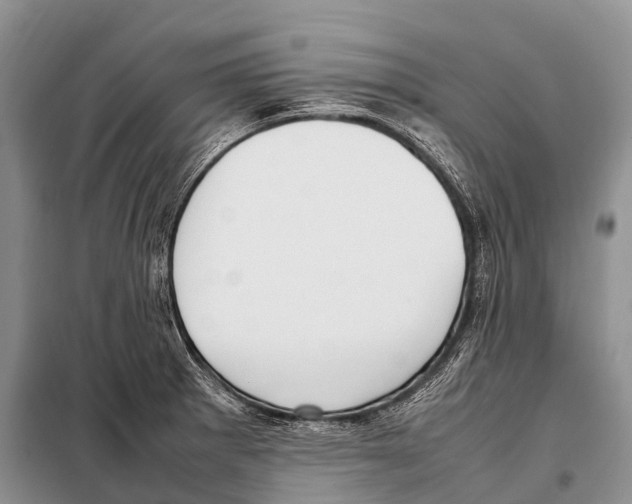 X0000098121281200805021148