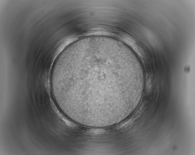 X0000098121282200805021148