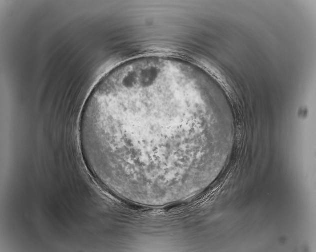 X0000098121283200805021148