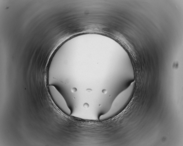 X0000098121284200805021148