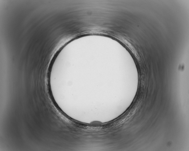 X0000098121285200805021148