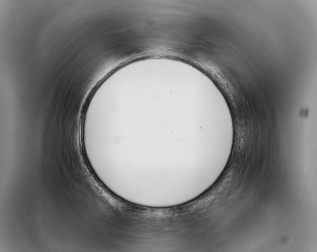 X0000098121286200805021148