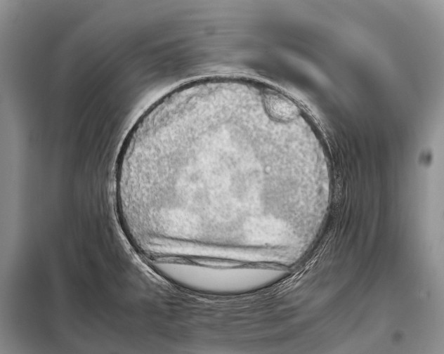 X0000098121287200805021148