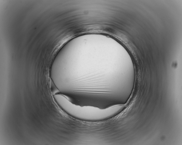 X0000098121289200805021147