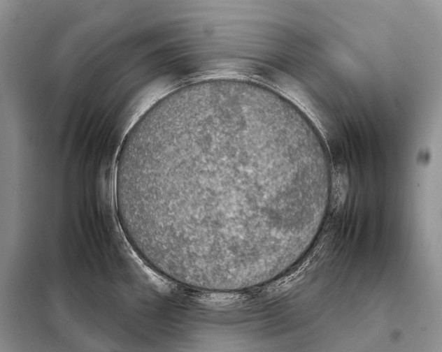 X0000098121290200805021147
