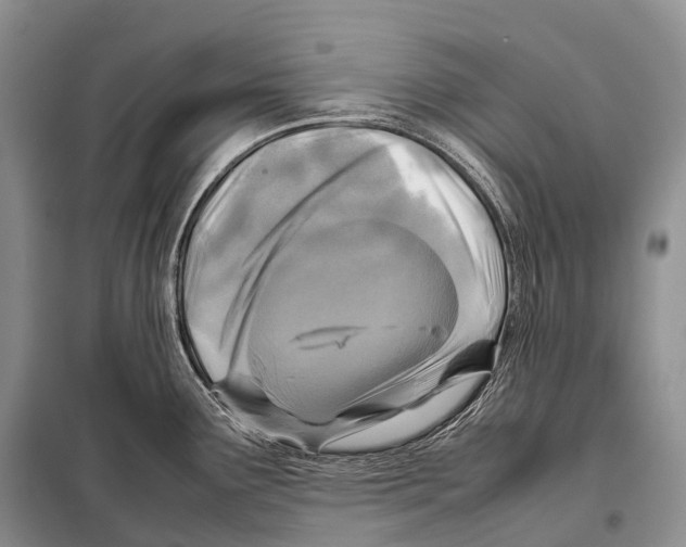 X0000098121291200805021147