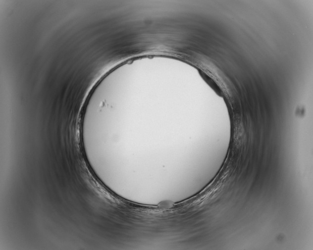 X0000098121292200805021147