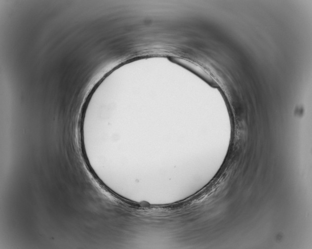 X0000098121293200805021147