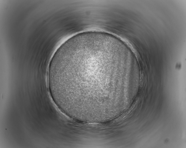 X0000098121295200805021147