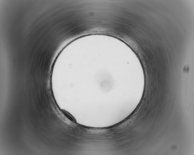 X0000098121296200805021147