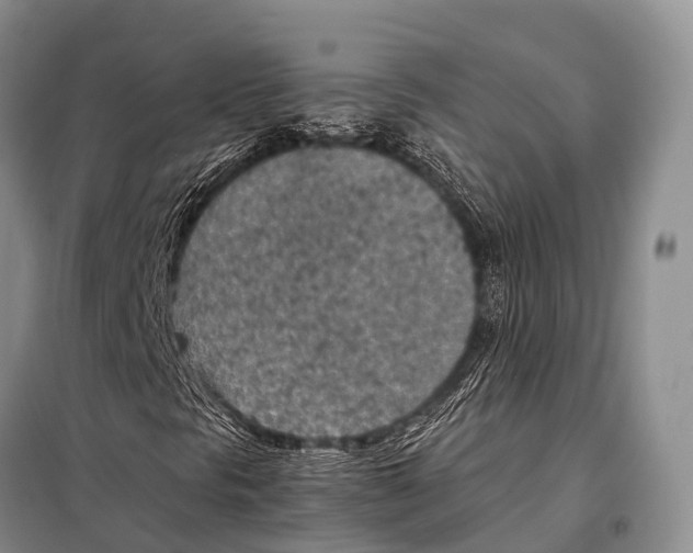 X0000098121297200805021147