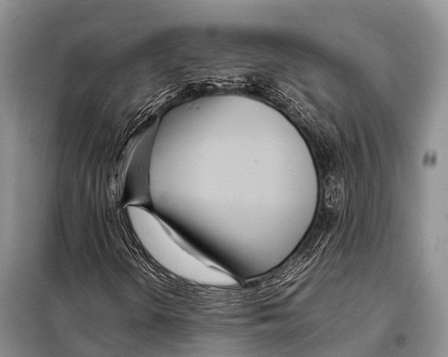 X0000098121298200805021147