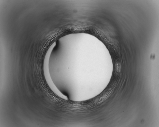 X0000098121300200805021147