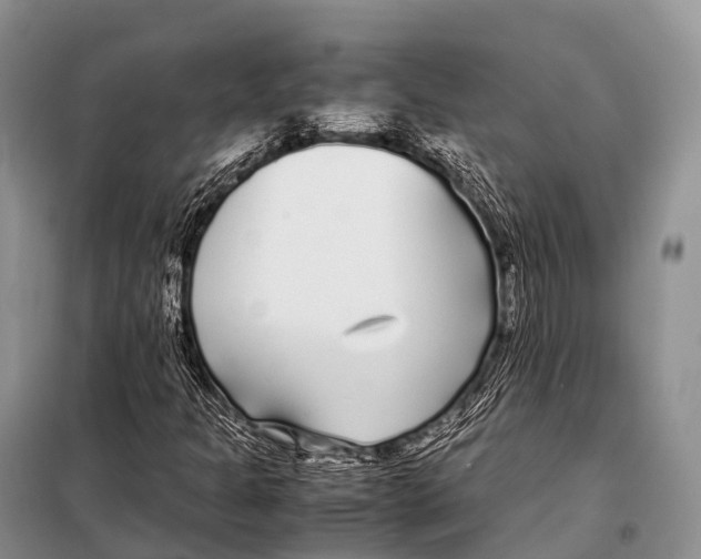 X0000098121301200805021147