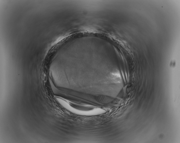 X0000098121303200805021147
