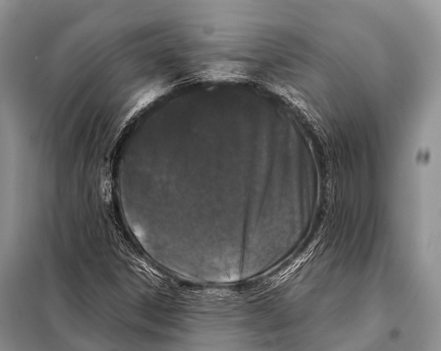 X0000098121306200805021147