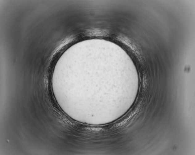 X0000098121309200805021147