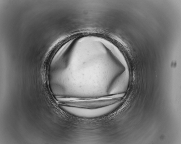 X0000098121310200805021147