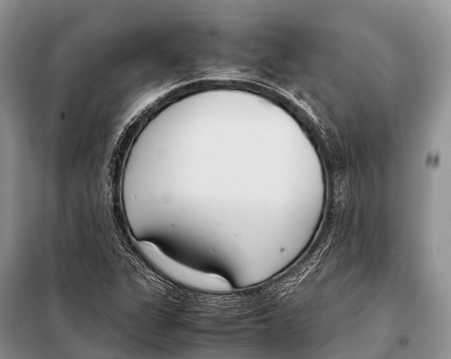 X0000098121311200805021147