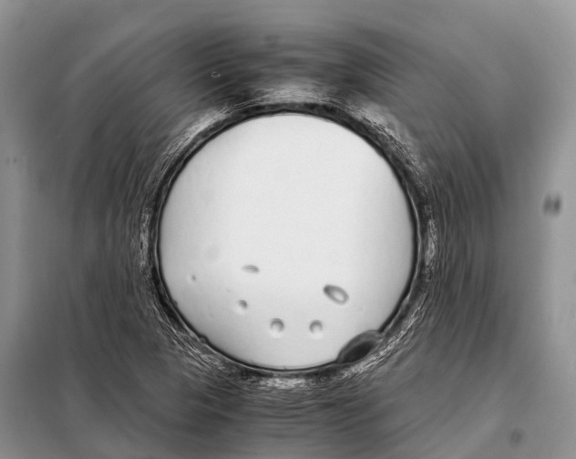 X0000098121313200805021147