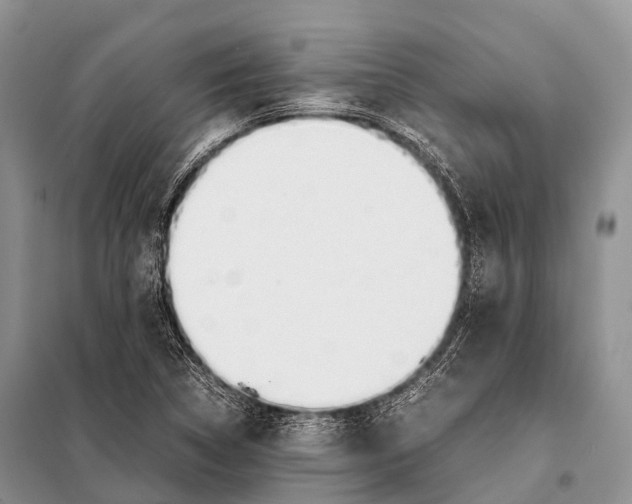 X0000098121314200805021147