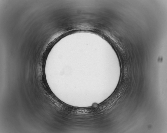 X0000098121315200805021147